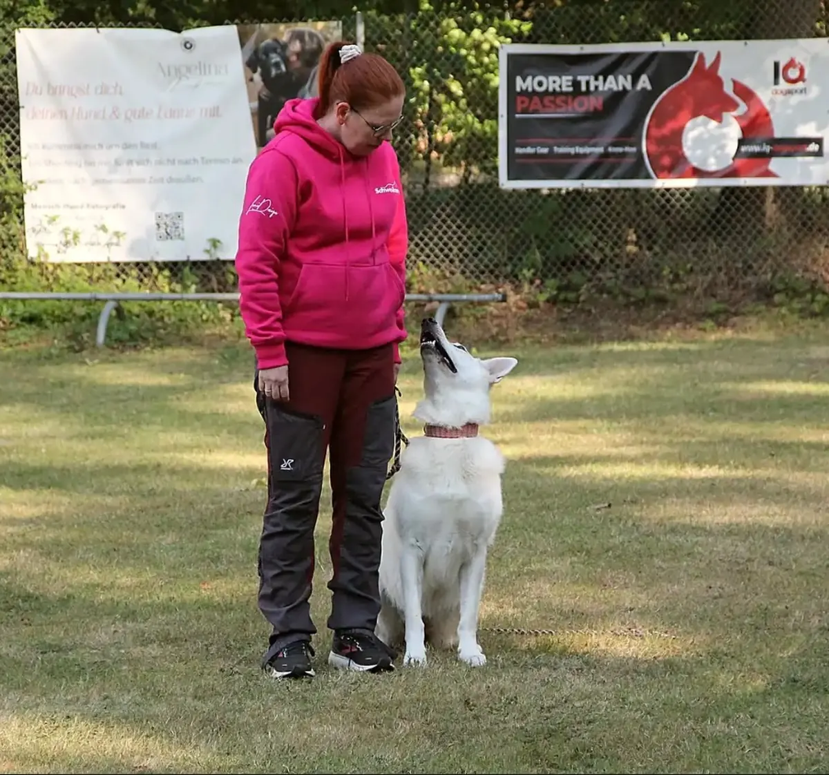 Weißer Schäferhund schaut zu seiner Hundeführerin hoch