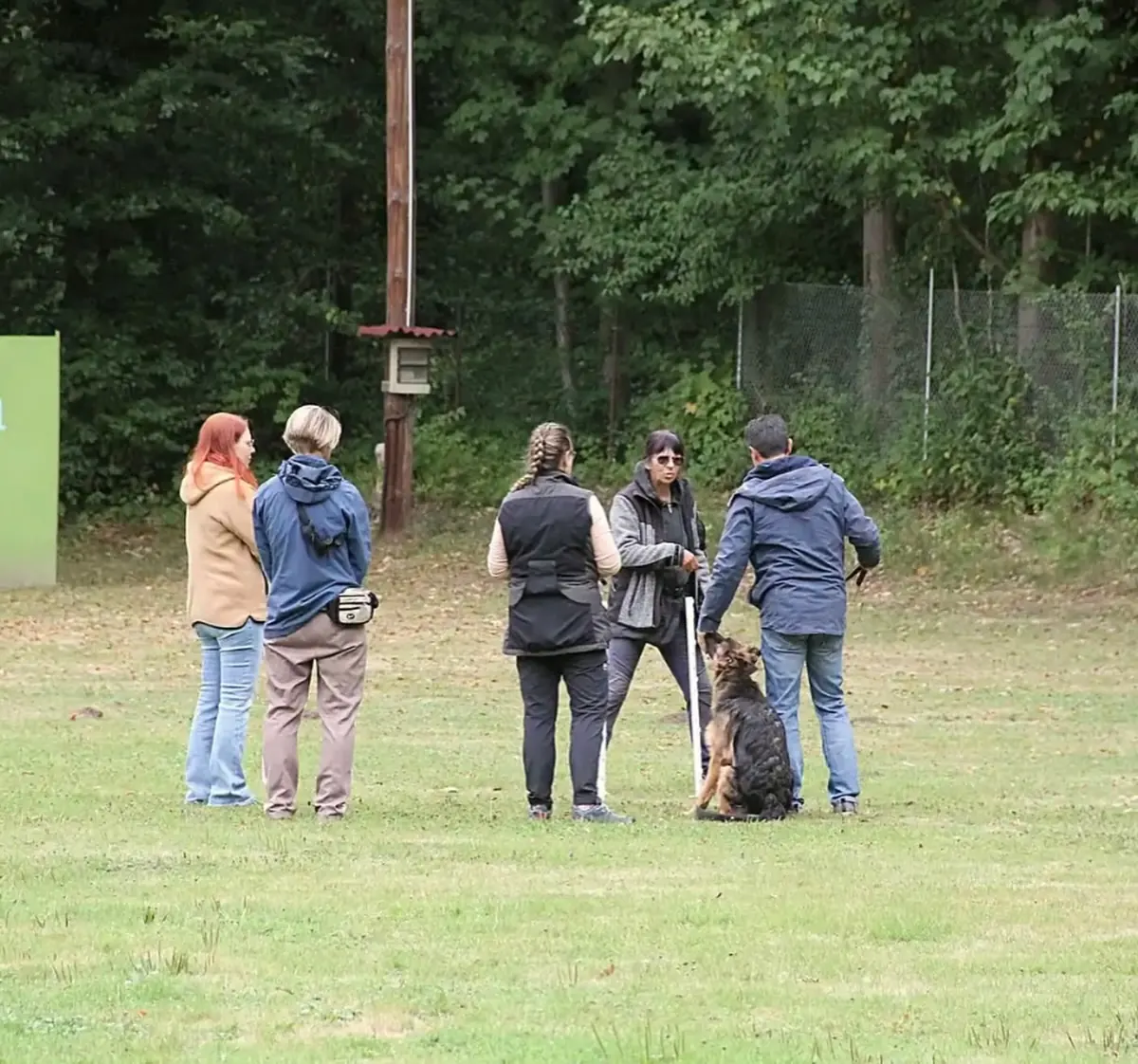 Gruppenarbeit auf dem Platz