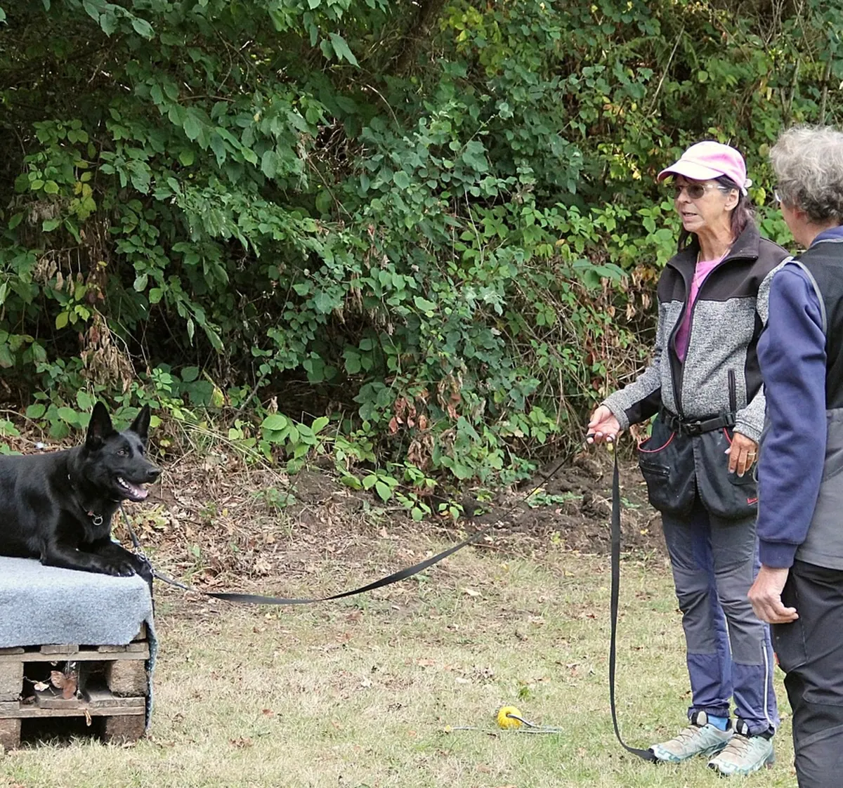 Hund auf dem Podest, davor zwei Hundeführerinnen