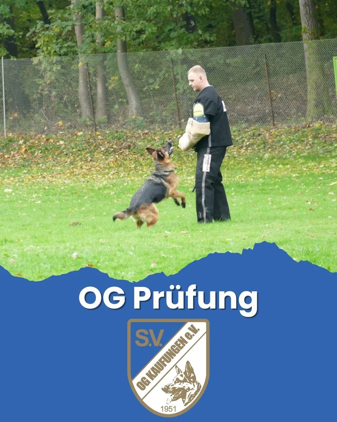 Plakat: OG-Prüfung
