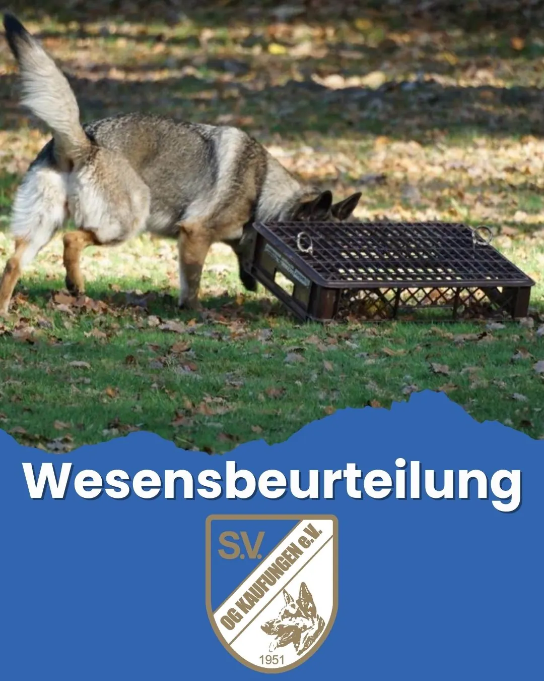 Plakat: Wesensbeurteilung
