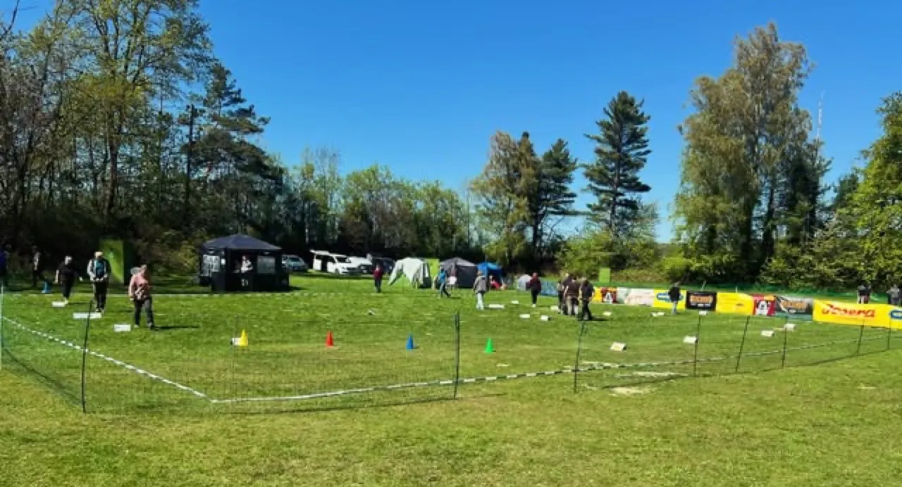 Parcours beim Rally-Obedience-Turnier im April 2026 bei strahlendem Wetter